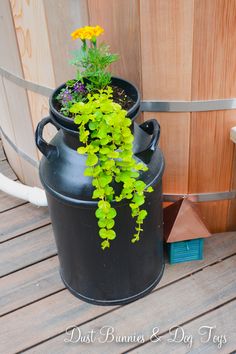 a potted plant sitting on top of a black barrel next to a wooden fence