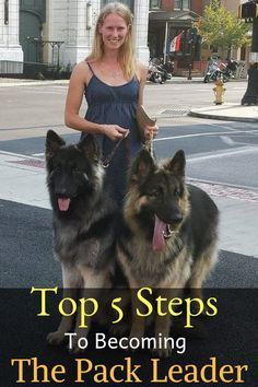 a woman standing next to two german shepherd dogs on a city street with the title top 3 steps to becoming the pack leader