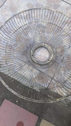 a metal object on the ground near a person's feet and footpaths