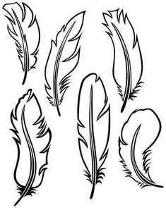 black and white drawing of feathers on a white background with clippings for text