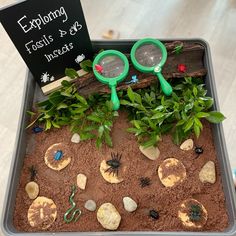 a tray filled with dirt and plants covered in fake magnifying glasses on top of it