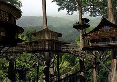 a group of wooden structures in the middle of a forest with mountains in the background