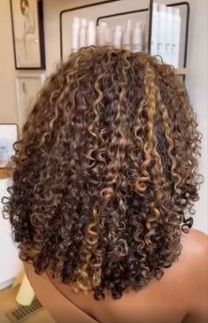 Highlights On Mixed Curly Hair, Dyed Curly Hair No Bleach, Rezolites Curly Hair, As I Am Color Curl, 4c Honey Blonde Highlights, Curl Hair Dye Ideas, Curl Hair With Highlights, Color Curly Hair Black Women, Blond Balayage With Dark Roots