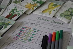 the garden layout is displayed with crayons, markers, and cards for each type of plant