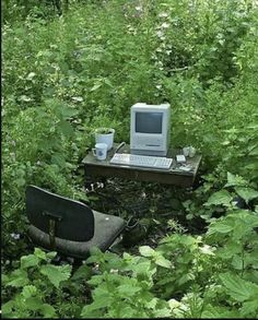 an old computer sitting on top of a wooden table in the middle of a forest