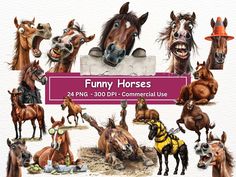 horse digital clipart bundle for commercial use - funny horses png, dxf