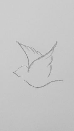 a drawing of a bird flying in the sky