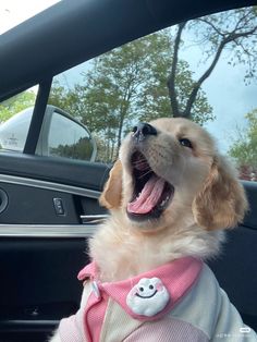 a dog with its mouth open sitting in a car