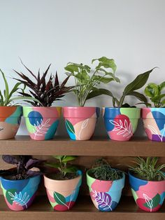 a shelf filled with potted plants on top of wooden shelves