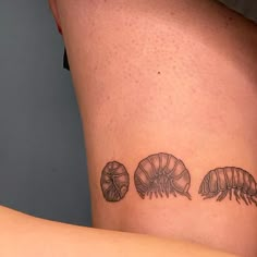 a woman's leg with three different types of bugs on it and one is black