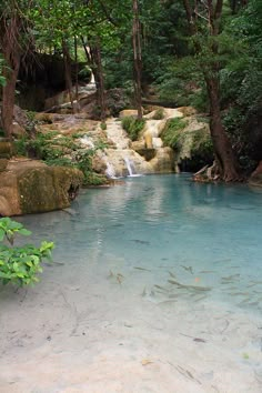 there are many small fish swimming in the water at this pool, and it looks like they're going to fall