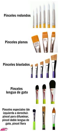 the different types of paint brushes are shown