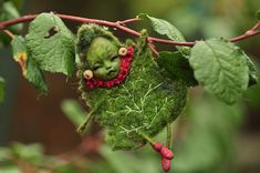 a green stuffed animal hanging from a tree branch with leaves and berries on it's head