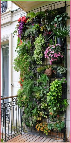 an outdoor planter with many different types of plants growing on the side of it