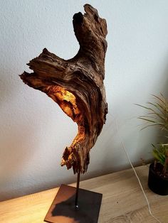 a piece of wood that is on top of a wooden table next to a potted plant