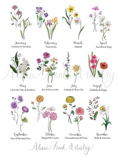 an illustrated guide to wildflowers and their names on a white background with the words,