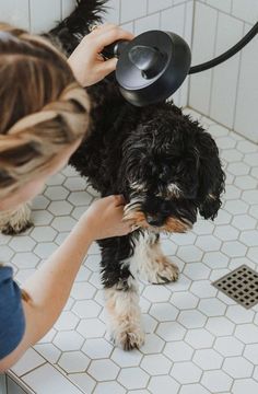 a woman is brushing her dog's hair in the bathroom