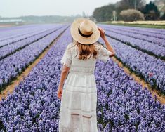 a woman wearing a hat standing in the middle of a field full of purple flowers