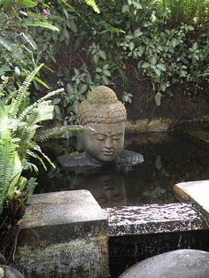 a buddha statue sitting in the middle of a pond surrounded by rocks and greenery