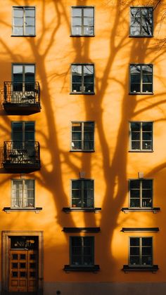 the shadow of a tree is cast on an apartment building