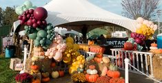 an outdoor market with pumpkins, hay bales and balloons hanging from the roof