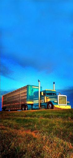 a large semi truck parked on top of a lush green field under a blue cloudy sky