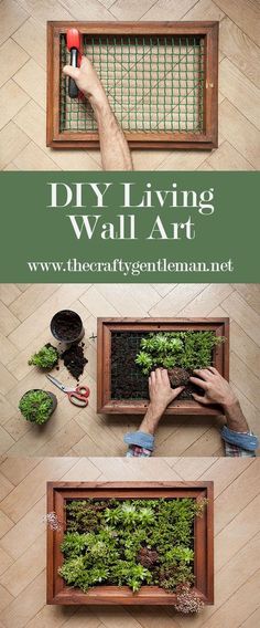 the diy living wall art is an easy way to make it look like you're