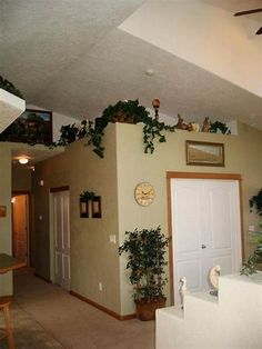 a living room filled with lots of plants next to a white door and ceiling fan