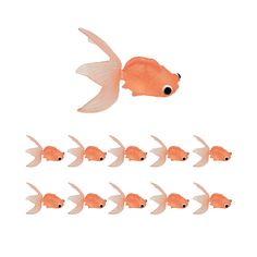 an orange fish with eight smaller ones in front of it, all facing the same direction