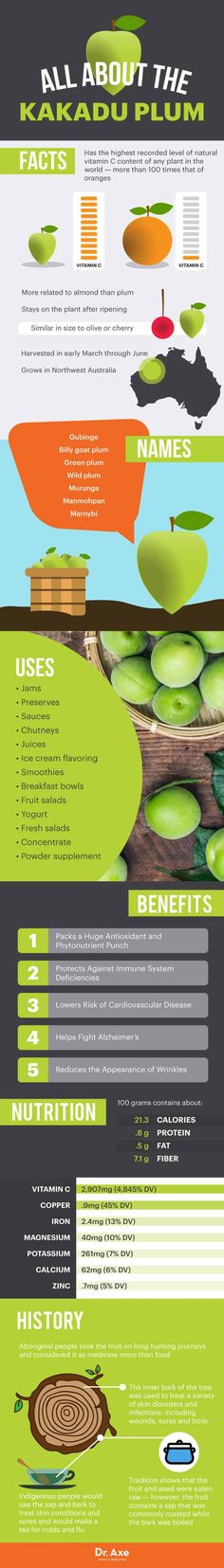 Plum Benefits, Vitamin C Foods, Tea For Colds, Diet Changes, Seeds Benefits, Anti Oxidant Foods, Chia Seeds Benefits, Healthy Facts, Matcha Benefits