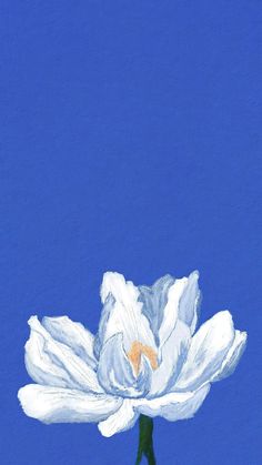 a painting of a white flower on a blue background