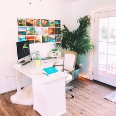 a white desk with a computer on top of it in front of a potted plant