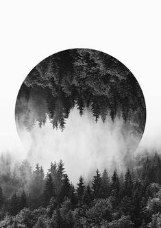 a black and white photo of trees in the fog with a large round object above it