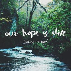 a river with trees in the background that says, our hope is alive because he lives