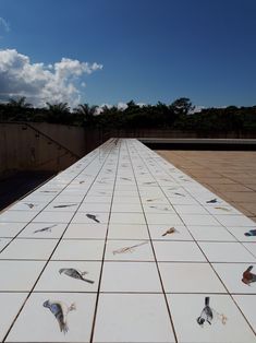 a long white tiled walkway with birds on it