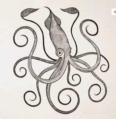 an octopus drawing on a wall with swirly lines in it's body and tail