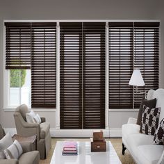 a living room with couches, chairs and a coffee table in front of two windows