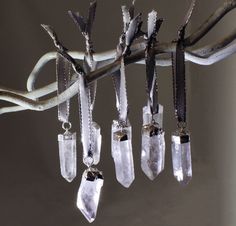 five crystal pendants hanging from a tree branch