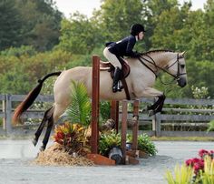 a woman riding on the back of a white horse jumping over an obstacle with trees in the background