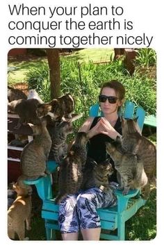 a woman sitting in a chair surrounded by kittens with caption that reads, when your plan to conquer the earth is coming together nicely