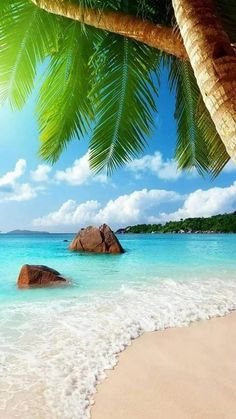 the beach is clear and blue with waves coming in from the water, under a palm tree