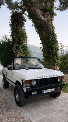 a white pick up truck parked next to a tree