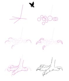 the steps to draw an animal's feet in different positions, including one with wings and