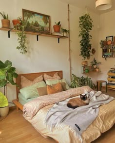 a cat laying on top of a bed in a room with plants and potted plants