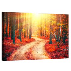 the sun shines through the trees on a dirt road in an autumn forest with red leaves