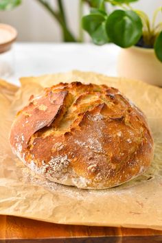 a loaf of bread sitting on top of a piece of paper next to a potted plant