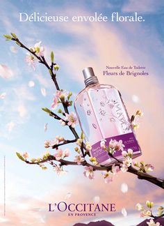 an advertisement for l'occitane in france