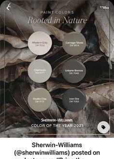 sherylin williams's paint colors in the fall and winter, with text overlay