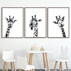 three black and white giraffes are hanging on the wall