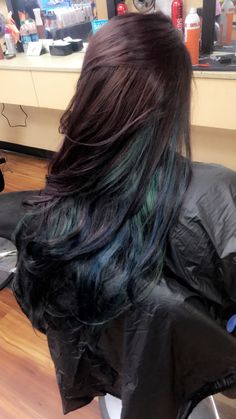 Black Hair With Blue Underneath Highlights Underneath, Colored Hair Streaks Brunette, Blue Ends On Black Hair, Rainbow Black Hair, Pigeon Hair Dye, Brown And Colored Hair, Iridescent Black Hair, Black Hair Blue Highlights Long